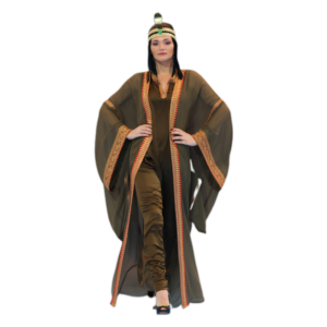 Orange Brown ladies Dress